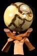 Polished Septarian Sphere - With Stand #43652-1